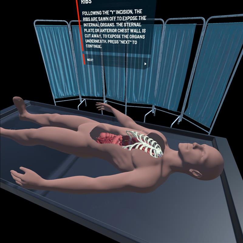 Medical procedure in VR.